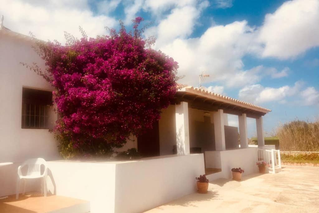 Casa Rural Es Cap De Barbaria San Francisco Javier Esterno foto